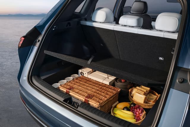 carousel-item-Electric Tailgate