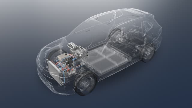 carousel-item-Cool, Calm, Collected